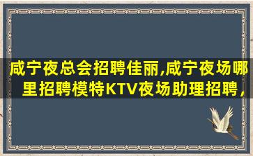 海东酒吧招聘